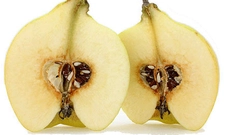 Ayva Çekirdeği Faydaları ve Özellikleri